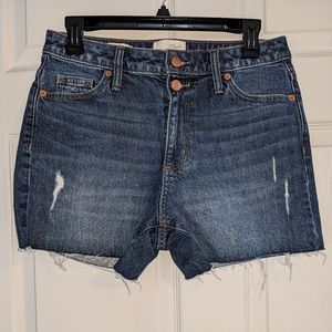Denim Jean Shorts